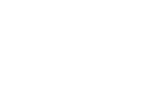 MiamiDice Logo