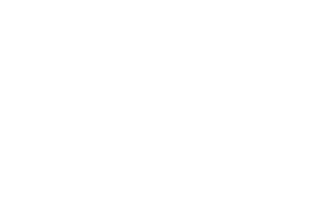 MiamiDice Logo